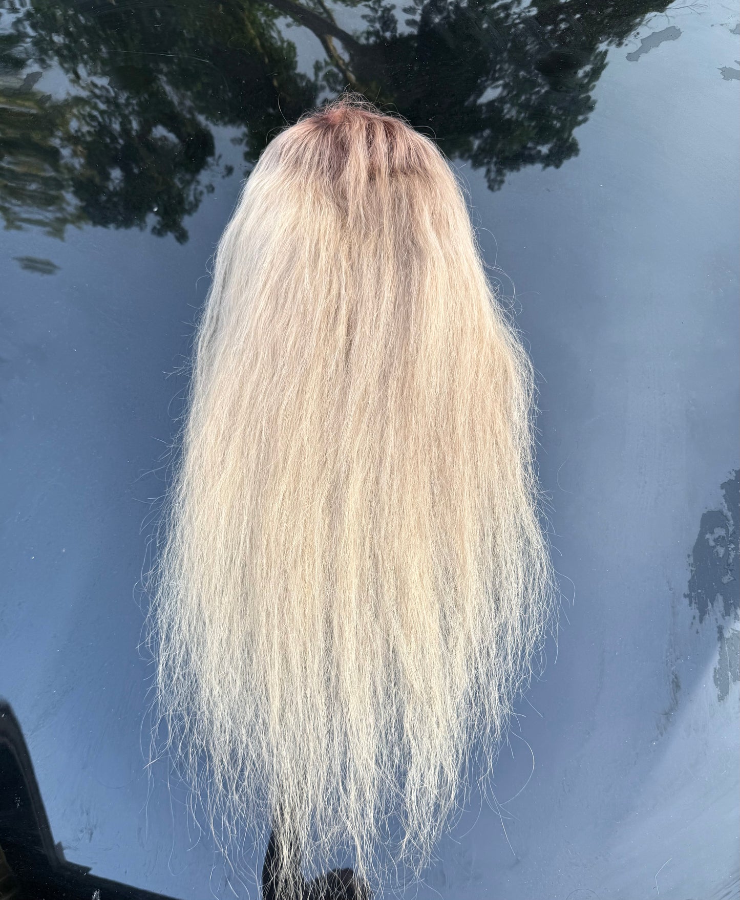 28” 613 w/ Brown Roots 13x4 Transparent Wig