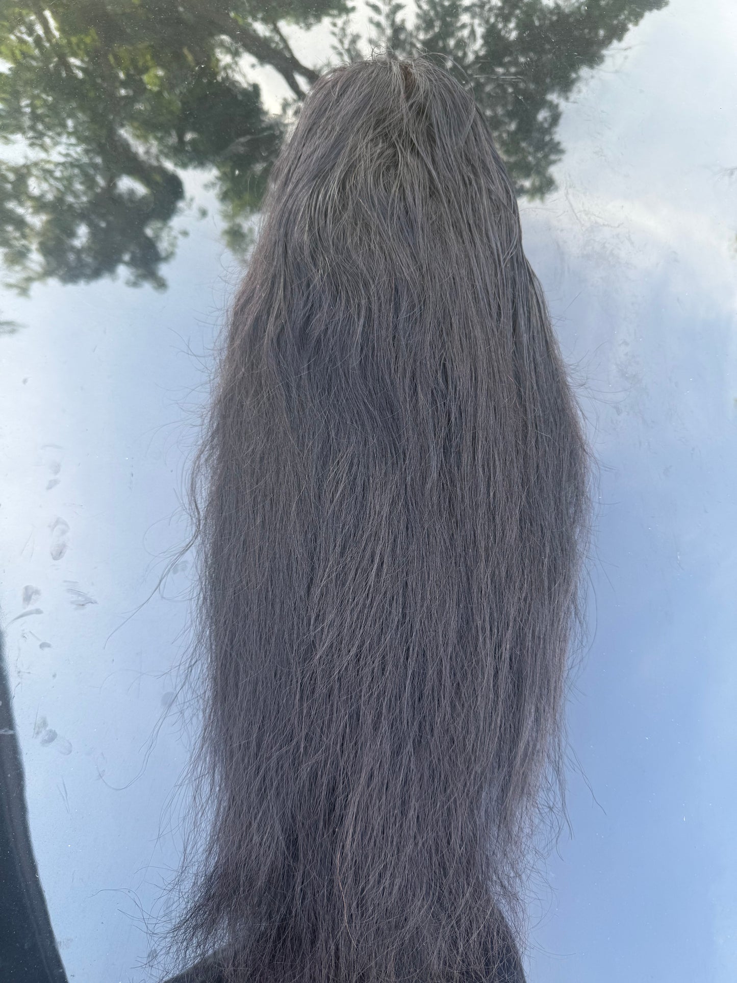 26” Straight 13x4 Transparent Wig