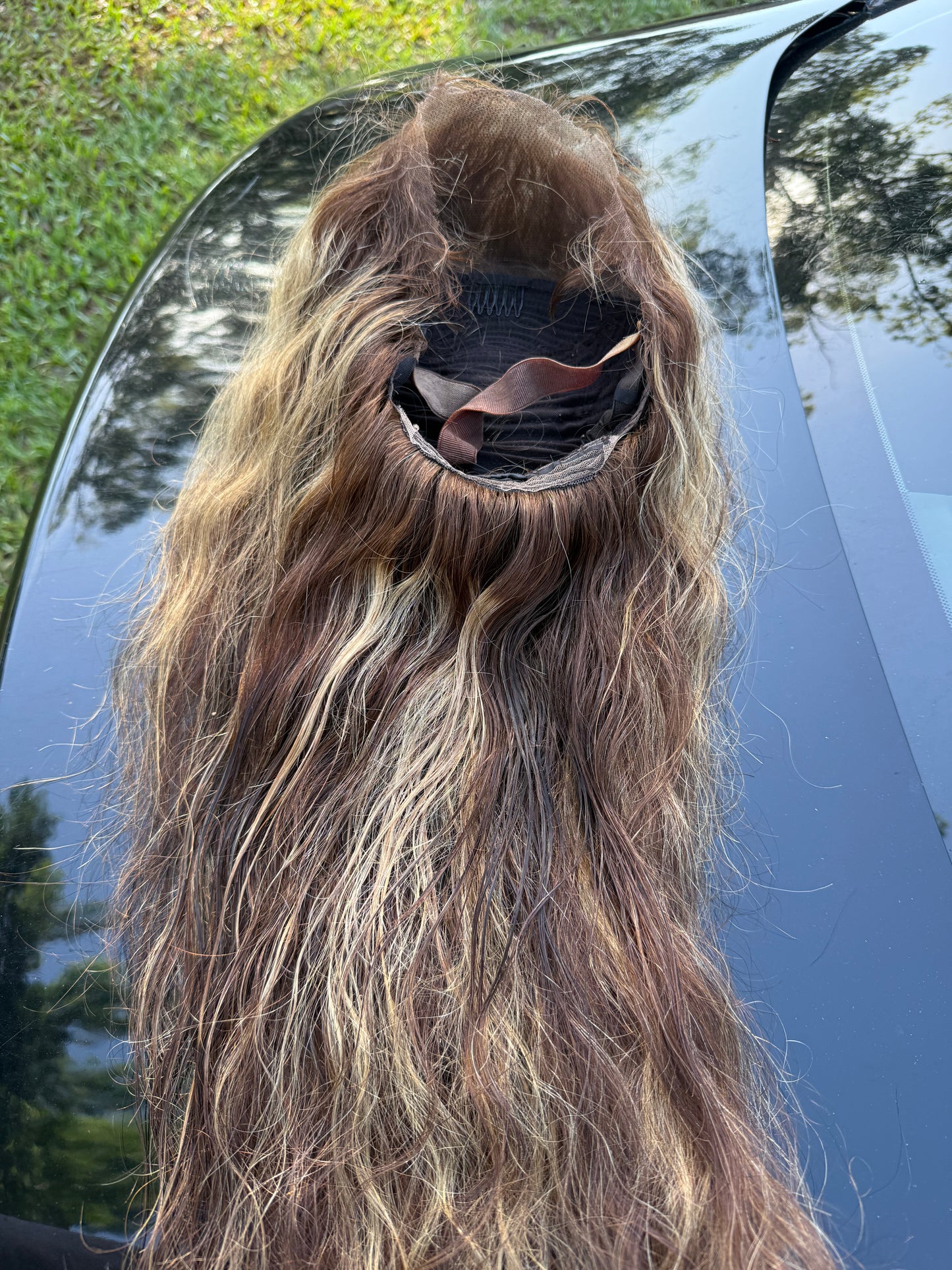 24” Highlight Wig 13x4 Transparent