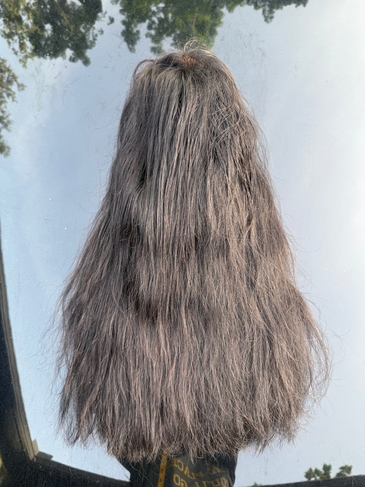 20” Straight Wig 13x4 Transparent Wig