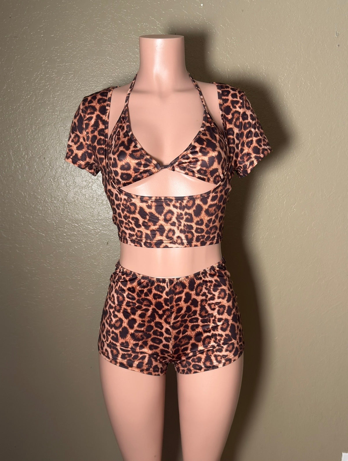 Cheetah Set