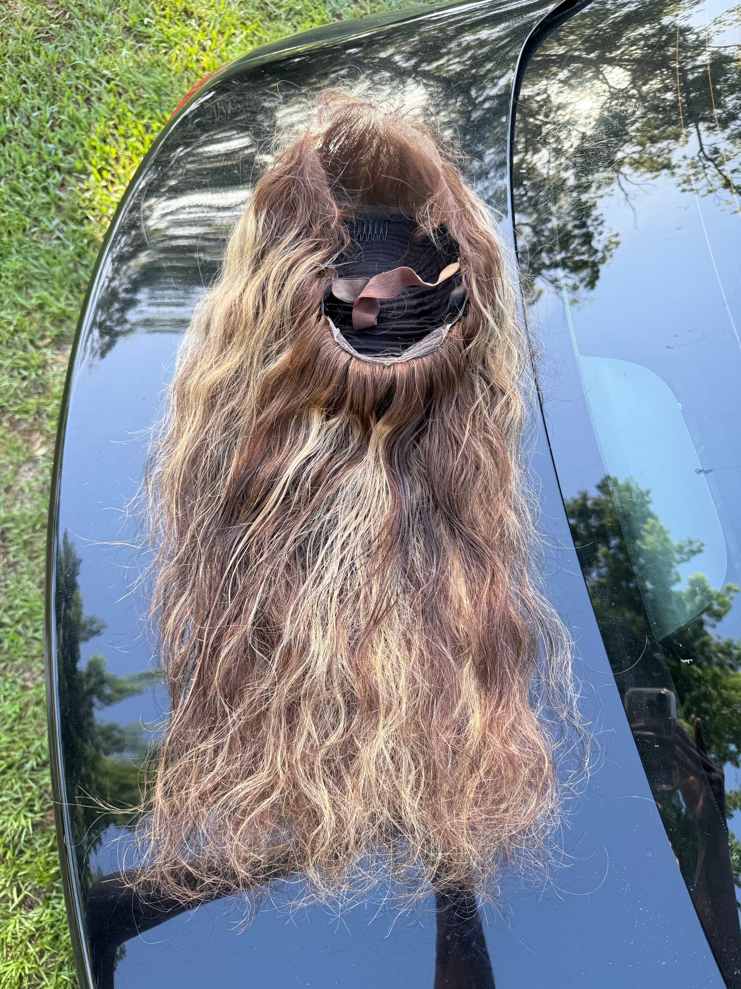 24” Highlight Wig 13x4 Transparent