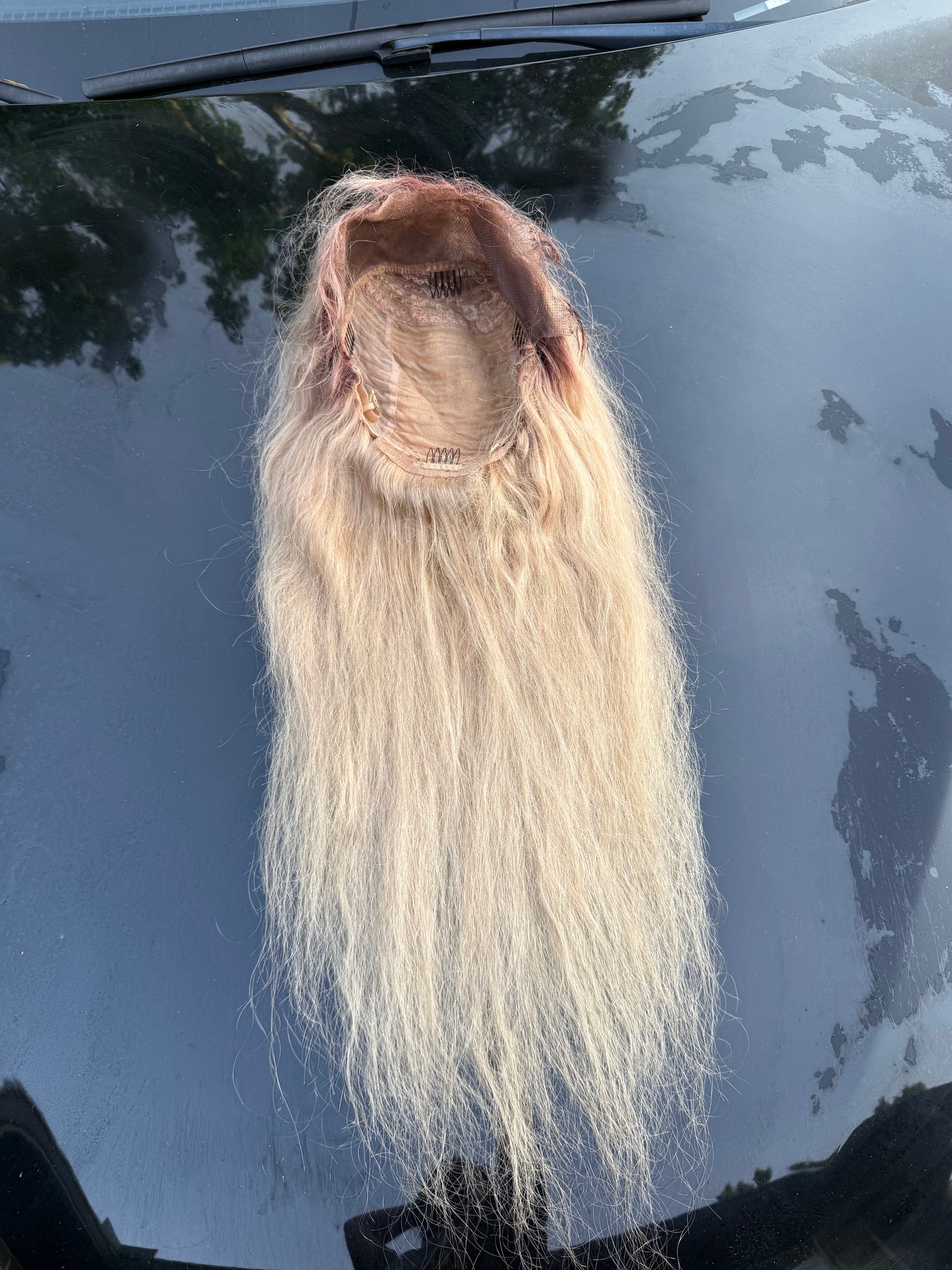 28” 613 w/ Brown Roots 13x4 Transparent Wig