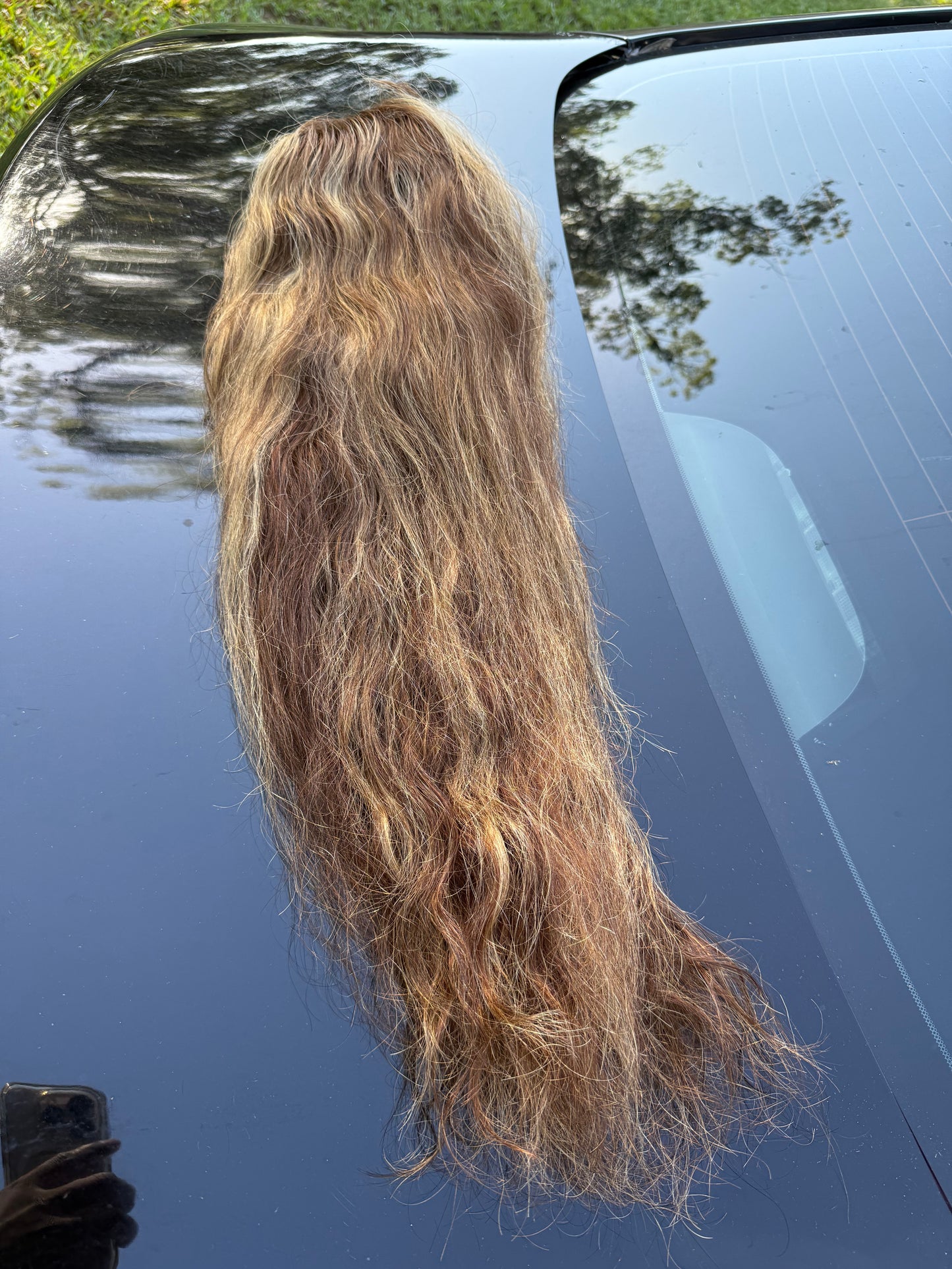 24” Highlight Wig 13x4 Transparent